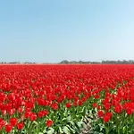 Wijde Blick 301 Adults Only Callantsoog