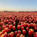 Appartement Wijde Blick 301 Adults Only Callantsoog