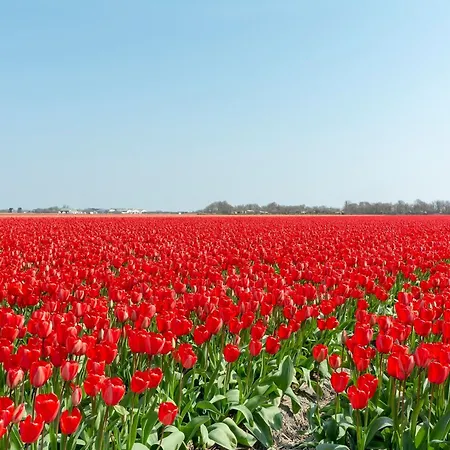 Stylish Couples Retreat (adults Only) Callantsoog