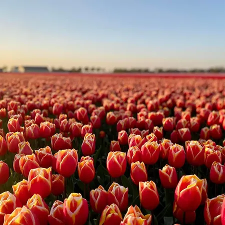 Apartment Stylish Couples Retreat (adults Only) Callantsoog