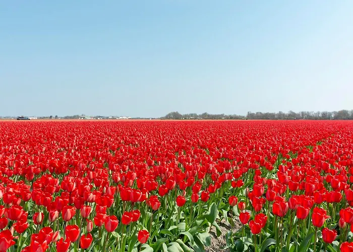 Wijde Blick 301 Adults Only 卡兰茨奥赫